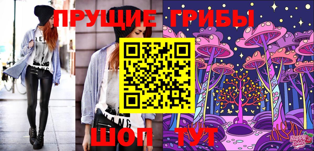 Галлюциногенные грибы Psilocybine cubensis  Вход с VPN  Ногинск 